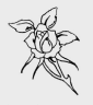 0045.gif