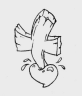 0053.gif