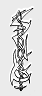 0058.gif