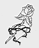 0137.gif