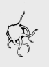 0176.gif