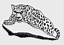 0200.gif