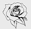 0219.gif