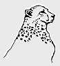 0225.gif