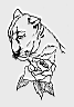 0369.gif