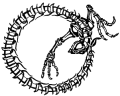 0448.gif